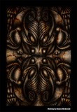 by Shawn McDonald
