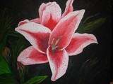 by donald penwell