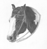 by Phyllis Gerben