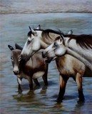 by Patti Jo 