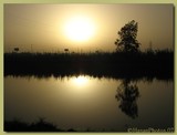 by Ahmed  Hasan