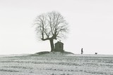 by Valeer Vandenbosch