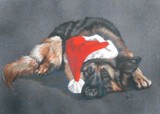 by Barbara Keith