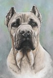by Barbara Keith