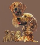 by Barbara Keith
