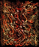 by Shahram  S. Nahavandi