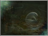 by ANTARES 