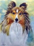 by Lyn Hamer Cook