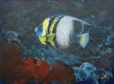 by jennifer  belote