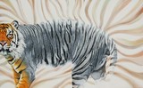 by Suresh Kumar Achari