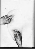 by Patrick Murphy