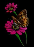 by Jennifer Jeffris