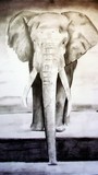 by Debi Allison (D.Day)