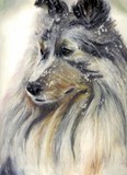 by linda lindall