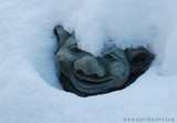 by Kjetil Barane