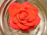 by Sue Stevens