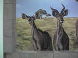 by dv8 murals 