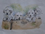 by Vijayendra Acharya