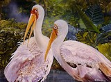by francis kwok peng kin
