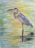 by patricia pushaw