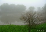 by CM  Sackett
