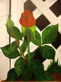 by Marilyn Detwiler