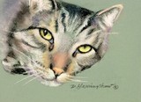 by Delores Herringshaw