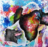 by Anita Ammerlaan