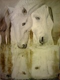 by Anita Stojcevic