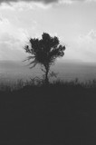 by Dimitrios  Manousakis