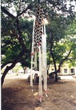 by sajad Hussain hamdani
