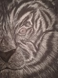 by Silvija Golub 