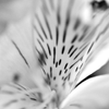  05829A