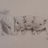 20190527 173450