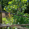 A fence