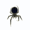 Infared Spider