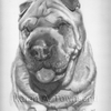 Shar-pei Commission