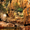 Landscapes