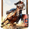 -The Barrel Racer