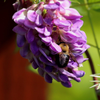 IMG 4828