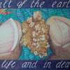 Salt of the earth