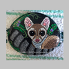 Sweet Pea Ringtail Dot Art River Stone