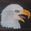 Bald Eagle Portrait 