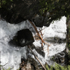 Lost Creek Falls 