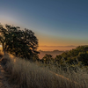 Dawn on the Summit Fire Trail - August 3  2025