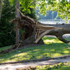 storm damage