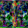 Crexis