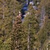 9G0A0466