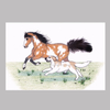 Overo Paint Horse & Pyrenees Dog Whimsical Illustration