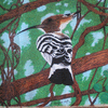 Hoopoe Bird in Tree